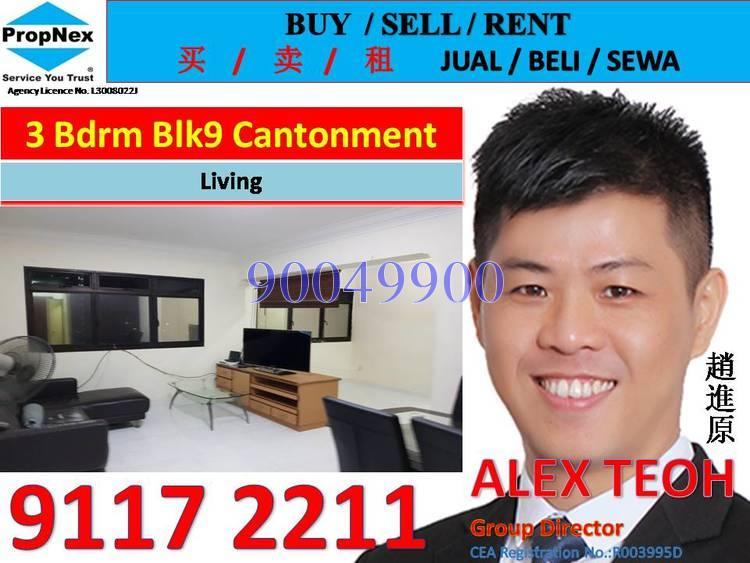 Blk 9 Cantonment Close (Bukit Merah), HDB 4 Rooms #163571082